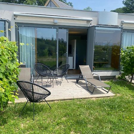 *Brandnew* Modernes Apartment In Den Weinbergen Mit Pool Und Sauna Spielfeld Exterior photo